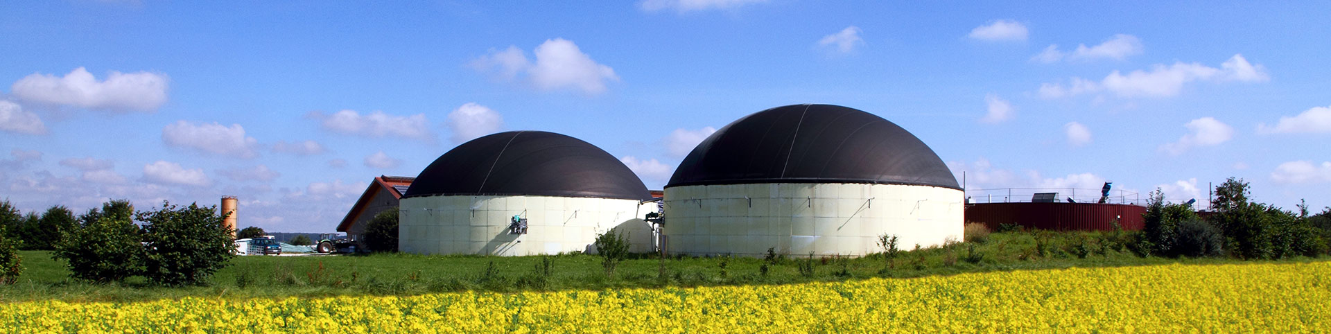 Biogas Rural